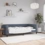 vidaXL Sofa, tamsiai pilkos spalvos, 100x200cm, aksomas