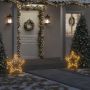 vidaXL Kalėdinė šviečianti dekoracija žvaigždė, 80LED, 60cm