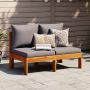 vidaXL Dvivietė sodo sofa su pagalvėlėmis, akacijos medienos masyvas