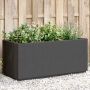 vidaXL Sodo lovelis, tamsiai pilkos spalvos, 80x36x35cm, PP