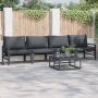 vidaXL Sodo Sofų Rinkinys su pagalve 5 pcs Juoda Plienas