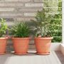 vidaXL Augalų vazonai 6 pcs Raudona plyta Ø 26 x 21.5 cm Plastmasė