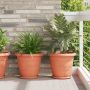 vidaXL Augalų vazonai 6 pcs Raudona plyta Ø 26 x 21.5 cm Plastmasė