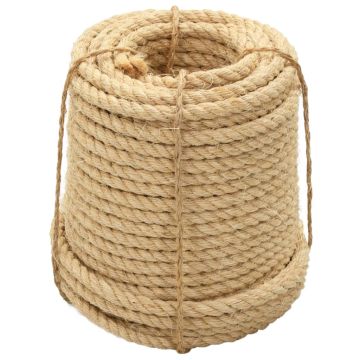 vidaXL Virvė, 50m, 100% sizalis, 14mm