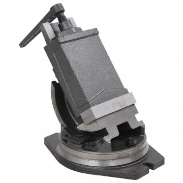 vidaXL Dviejų ašių pakreipiamas spaustuvas, 160mm