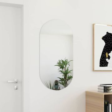 vidaXL Veidrodis, 100x50cm, stiklas