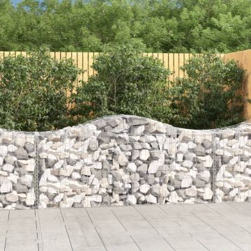 vidaXL Išlenkti gabiono krepšiai, 13vnt., 200x50x80/100cm, geležis