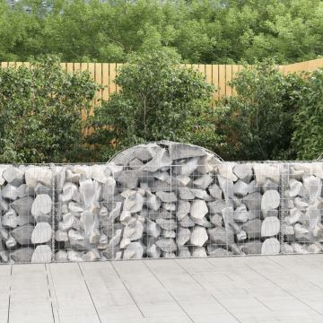 vidaXL Išlenkti gabiono krepšiai, 11vnt., 200x50x80/100cm, geležis