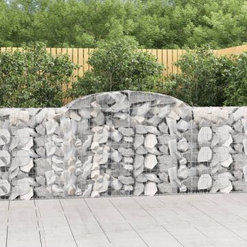 vidaXL Išlenkti gabiono krepšiai, 13vnt., 300x30x100/120cm, geležis