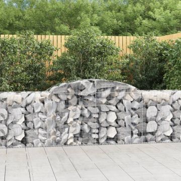 vidaXL Išlenkti gabiono krepšiai, 13vnt., 300x50x80/100cm, geležis