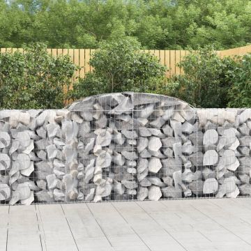 vidaXL Išlenkti gabiono krepšiai, 11vnt., 300x50x100/120cm, geležis