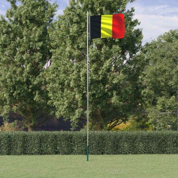 vidaXL Belgijos vėliava su stiebu, aliuminis, 6,08m