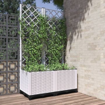 vidaXL Sodo lovelis su treliažu, baltos spalvos, 80x40x136cm, PP
