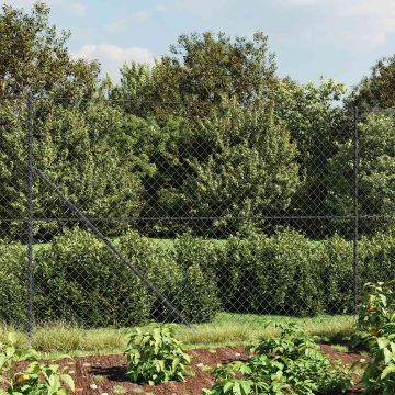 vidaXL Tinklinė tvora su smaigais, antracito spalvos, 2x25m