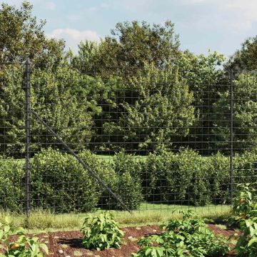 vidaXL Vielinė tinklinė tvora su smaigais, antracito spalvos, 2,2x25m