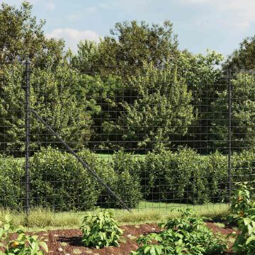 vidaXL Vielinė tinklinė tvora su flanšais, antracito spalvos, 1,6x25 m