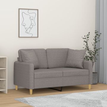 vidaXL Dvivietė sofa su pagalvėlėmis, šviesiai pilka, 120cm, audinys