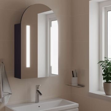 vidaXL Veidrodinė vonios kambario spintelė su LED, pilka, 42x13x70cm