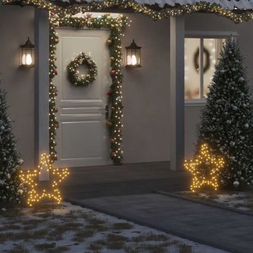 vidaXL Kalėdinė šviečianti dekoracija žvaigždė, 80LED, 60cm