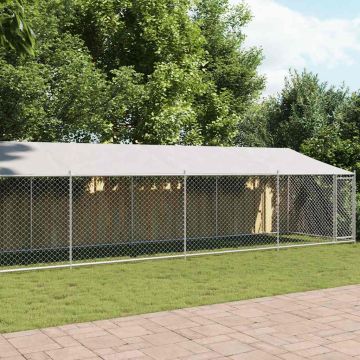 vidaXL Narvas šunims su stogu ir durimis, pilkas, 10x2x2m, plienas