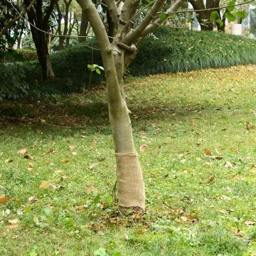vidaXL Džiuto ritinys, 0,25x15m, 100% džiutas, 200 g/m²