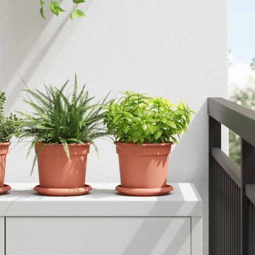 vidaXL Augalų vazonai 24 pcs Raudona plyta Ø 15 x 12 cm Plastmasė