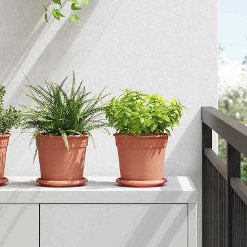 vidaXL Augalų vazonai 24 pcs Raudona plyta Ø 17 x 14 cm Plastmasė