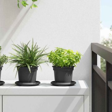 vidaXL Augalų vazonai 24 pcs Juoda Ø 12,5 x 10 cm Plastmasė
